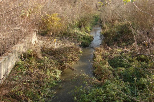 Rzeka Czechówka