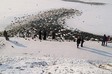 #Kraków#Wisła#zima