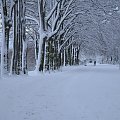 Park nad zatoką