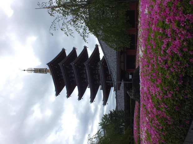 Pagoda w Tokio