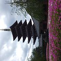 Pagoda w Tokio