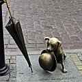 Toruń- pies Filuś